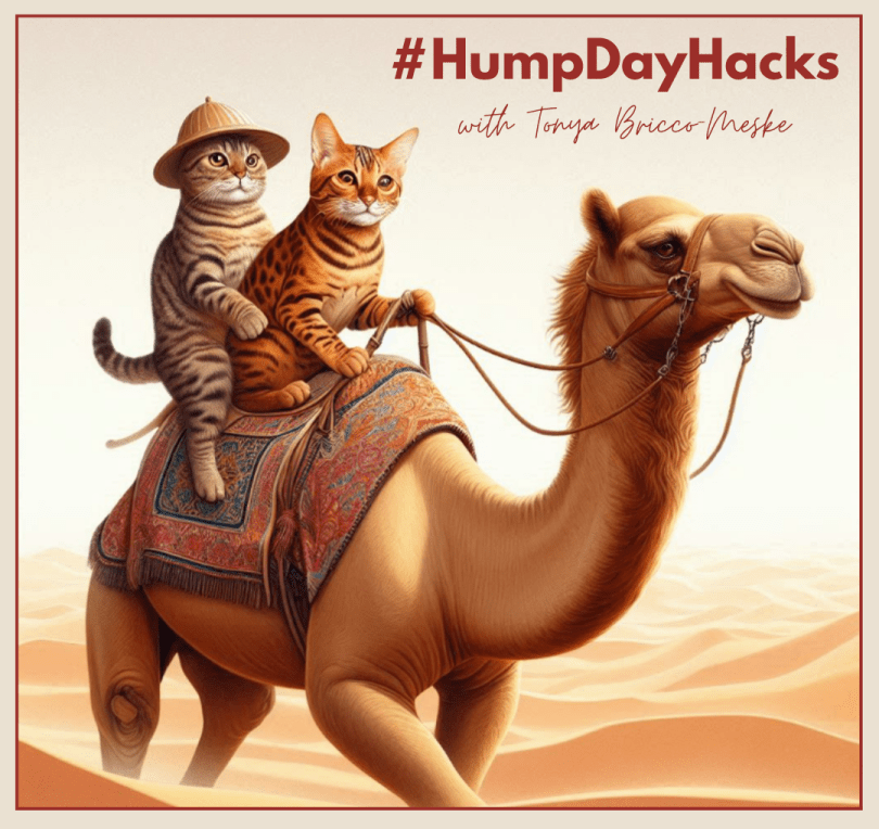 #HumpDayHacks with Tonya Bricco-Meske