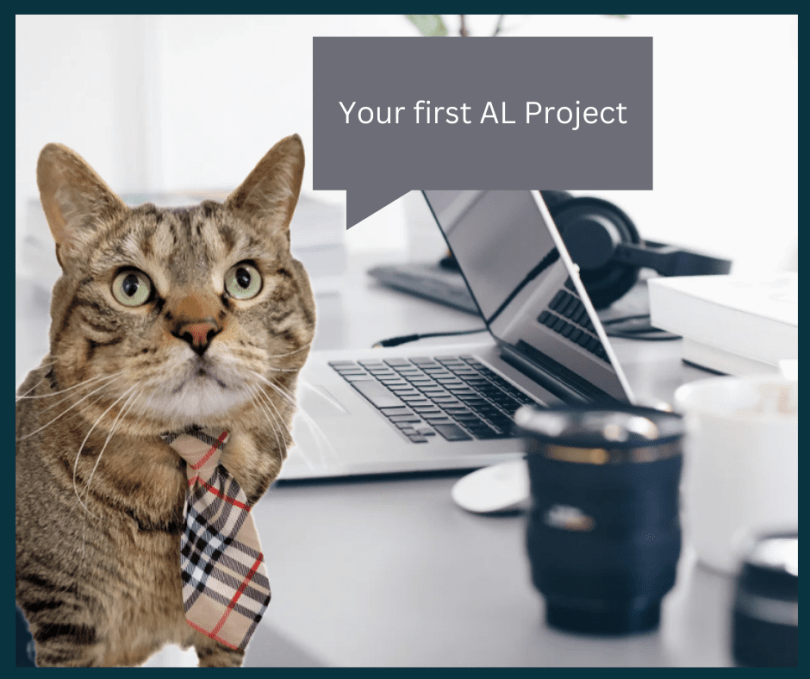Your first AL Project