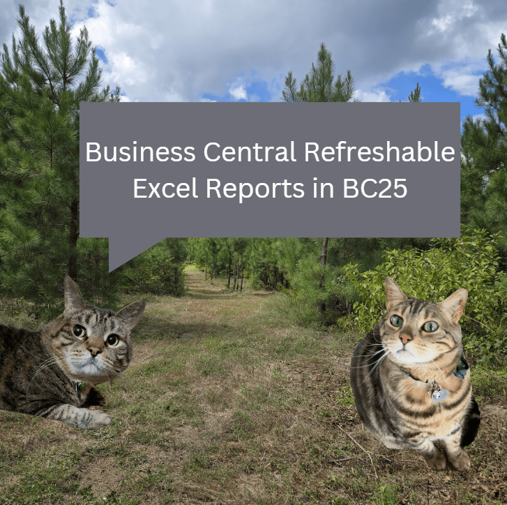 Business Central Refreshable Excel Reports in BC25