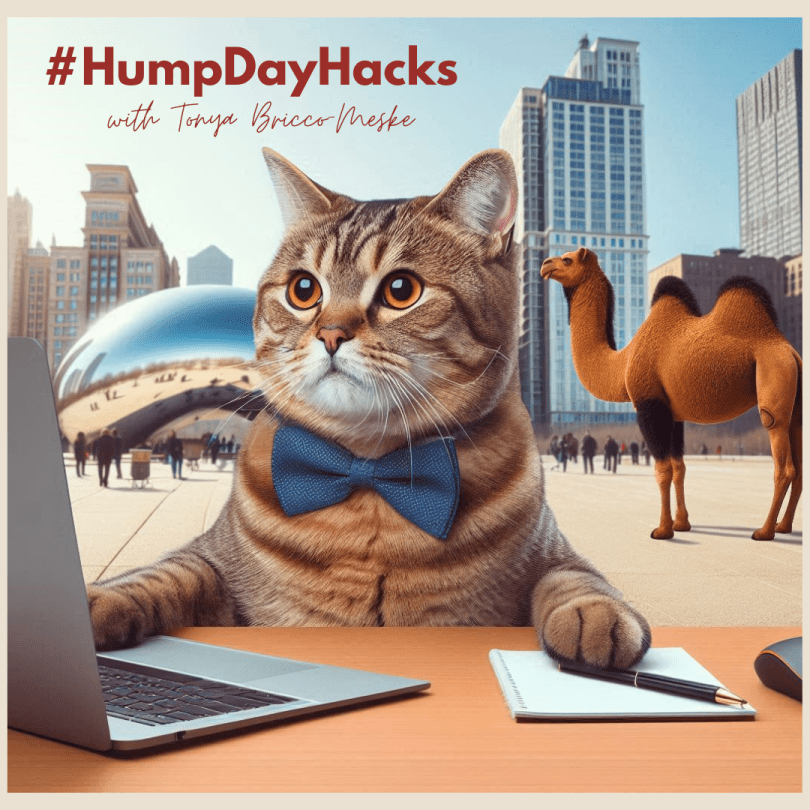 Brown Tabby Cat, wearing a blue bow tie, working at a laptop in front of the Bean in downtown Chicago. There is a camel in the background. #HumpDayHacks with Tonya Bricco-Meske
